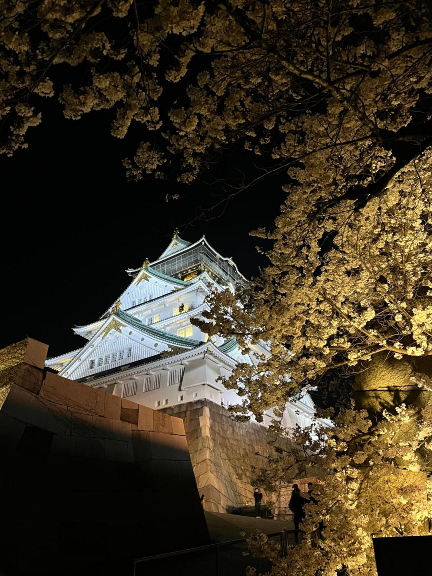 Guesthouse Atelier Ten 民泊アトリエ天 โอซาก้า ภายนอก รูปภาพ